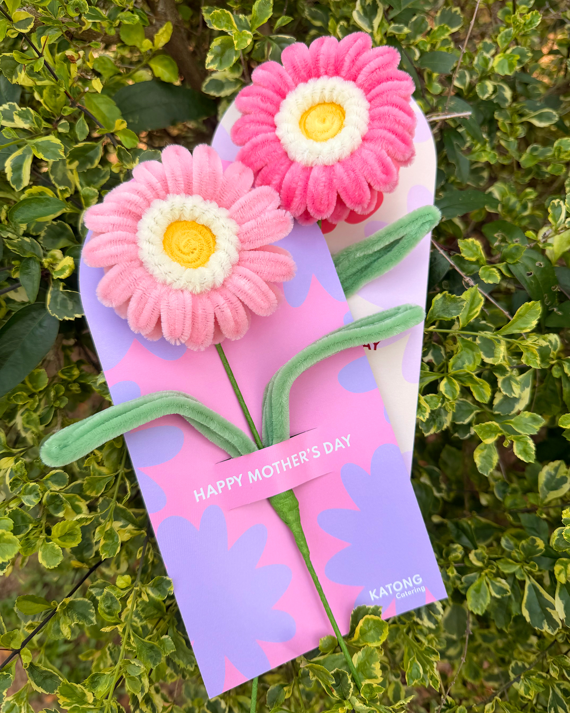 Mother's Day Special